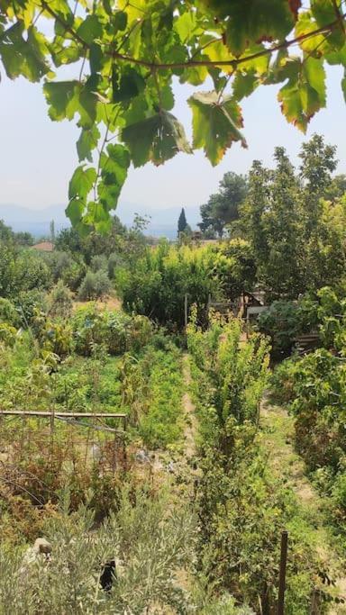 Engin Home Pamukkale Zewnętrze zdjęcie